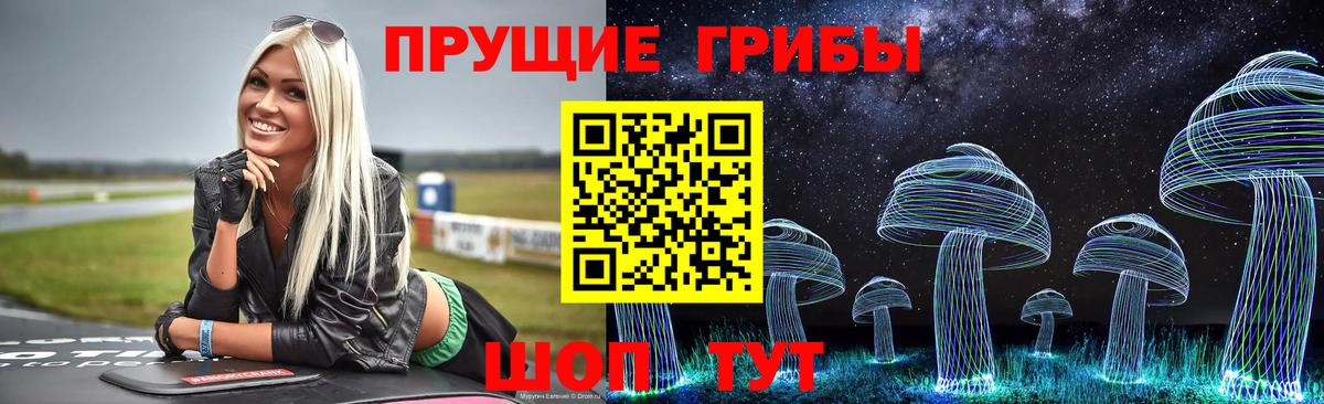 Арзамас  Псилоцибиновые грибы Psilocybe  Вход с VPN  Псилоцибиновые грибы GOLDEN TEACHER 